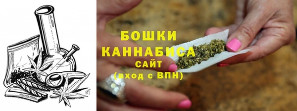 мдпв Богородицк