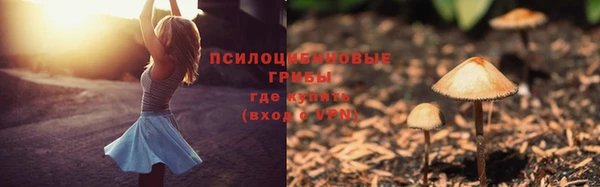 мдпв Богородицк