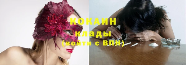 дурь Богданович