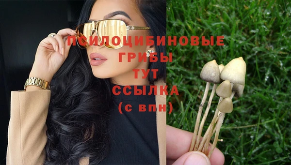 мдпв Богородицк