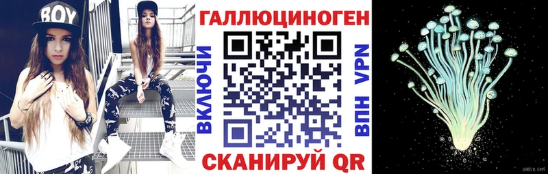 ОМГ ОМГ ТОР  купить   Киренск  Псилоцибиновые грибы прущие грибы 